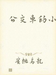公交车的小说