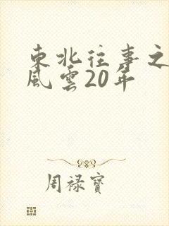 东北往事之黑道风云20年封面