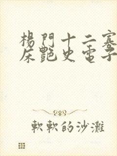 杨门十二寡妇肉床艳史电子书