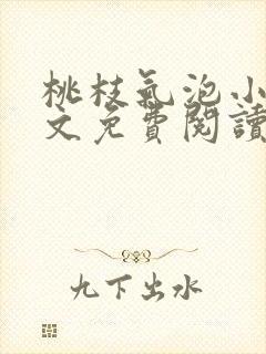 桃枝气泡小说全文免费阅读封面