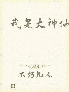 我是大神仙小说封面