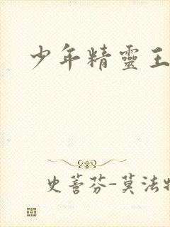 少年精灵王