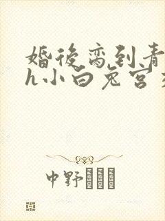婚后脔到青梅哭h小白兔宫交h封面
