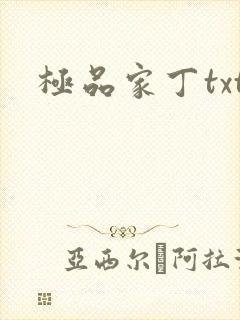 极品家丁txt