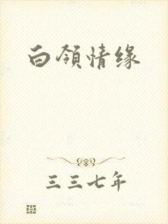 白领情缘