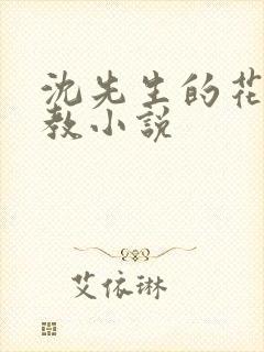 沈先生的花式调教小说