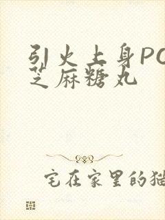 引火上身POP芝麻糖丸封面