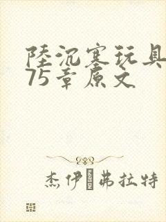 陆沉塞玩具高速75章原文