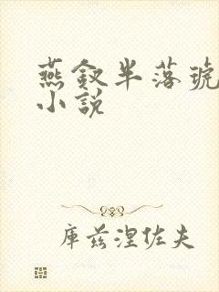 燕钗半落琥珀糖小说