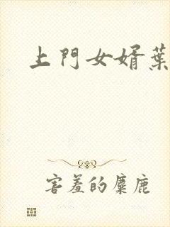 上门女婿叶辰封面