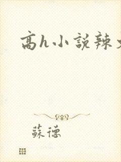 高h小说辣文