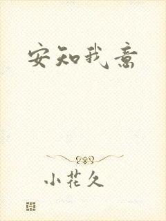 安知我意封面