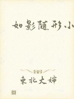 如影随形小说