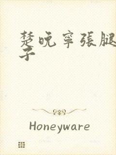 楚晚宁张腿放棋子