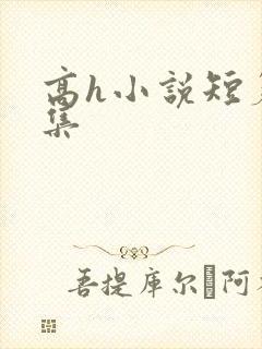 高h小说短篇合集