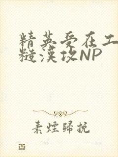 精英受在工地被糙汉攻NP封面