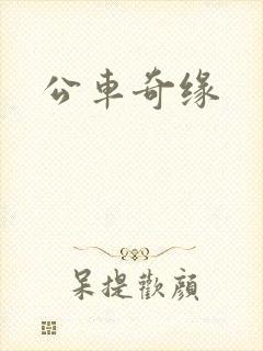 公车奇缘封面