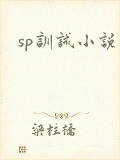 sp训诫小说