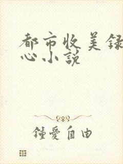 都市收美录宁素心小说