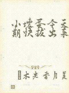 小坏蛋今天危险期快拔出来