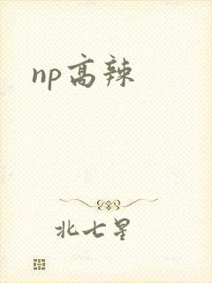 np高辣