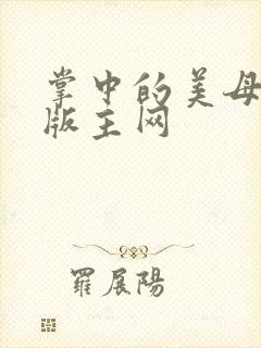 掌中的美母第一版主网封面