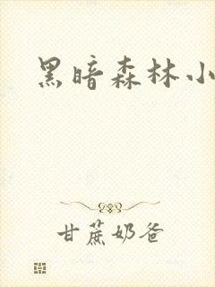 黑暗森林小说