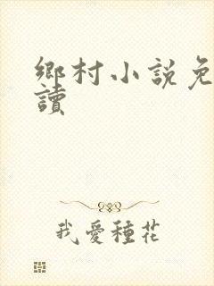 乡村小说免费阅读封面