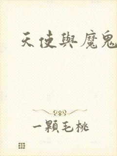 天使与魔鬼小说封面