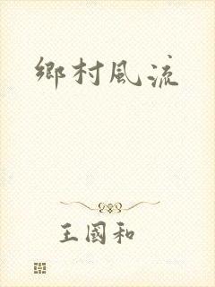 乡村风流封面