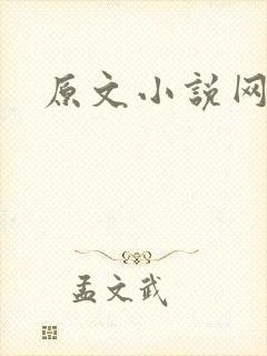 原文小说网封面