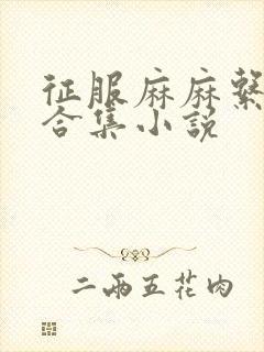 征服麻麻系列大合集小说封面