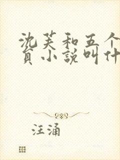 沈芙和五个消防员小说叫什么封面