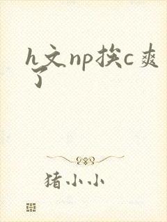 h文np挨c爽了