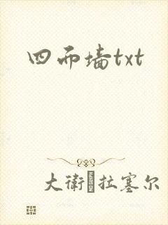 四面墙txt