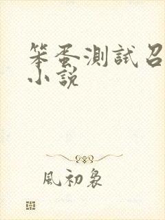 笨蛋测试召唤兽小说
