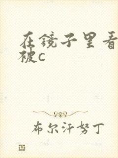 在镜子里看自己被c