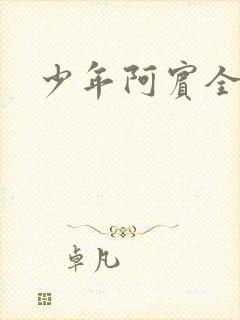 少年阿宾全集封面