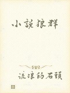 小说狼群