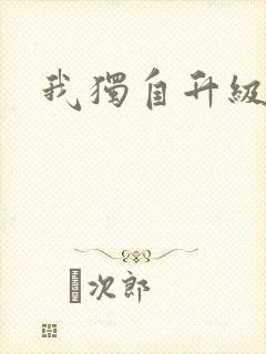 我独自升级封面