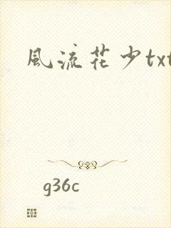 风流花少txt