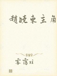 赵晓东主角小说