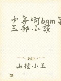 少年啊bgm第三部小说