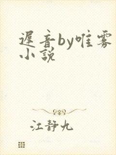 迟音by唯雾的小说封面