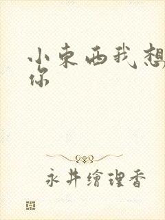 小东西我想弄坏你