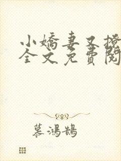 小娇妻又撩又甜全文免费阅读