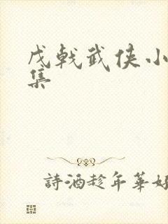 戊戟武侠小说全集封面