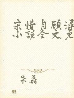 宋惜月顾浔渊的小说全文免费阅读