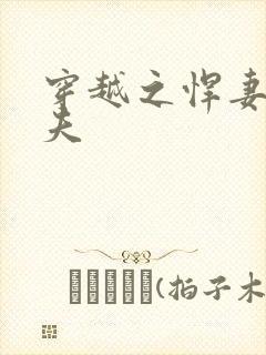 穿越之悍妻共三夫