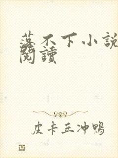 落不下小说免费阅读